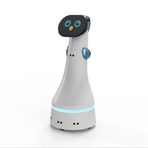 ELF Service Robot