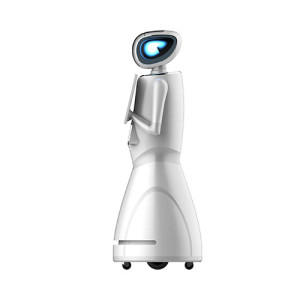 YinYin Service Robot