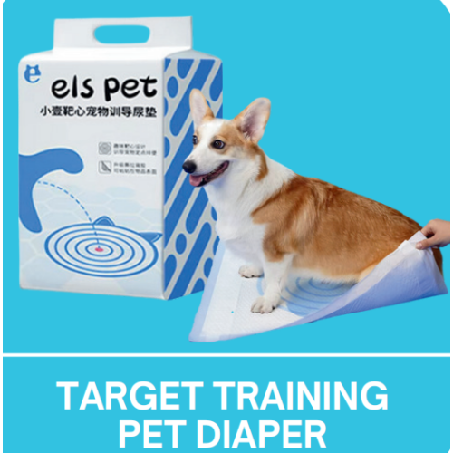Target Training Pet Diaper, 50/46*60